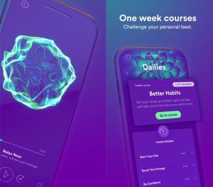 PrimedMind - Best Mobile App Awards